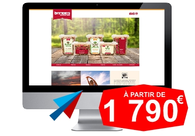Mockup site web professionnel - À partir de 1790€